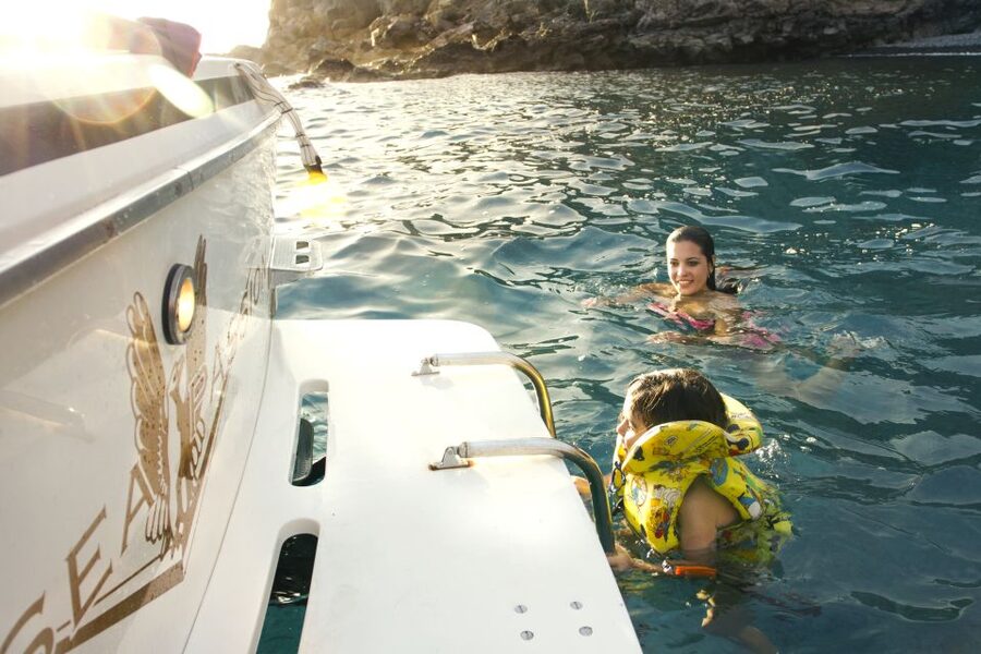 From San Juan beach : Marine Life Cruise - The captain’s role: spotting, explaining, and staying on the hunt