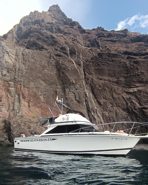 From San Juan beach : Marine Life Cruise - Snorkeling and swimming: when the sea says yes
