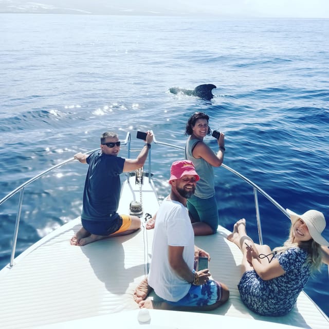 From San Juan beach : Marine Life Cruise - Weather, comfort, and what to pack