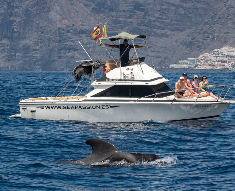 From San Juan beach : Marine Life Cruise - Languages and communication on the water