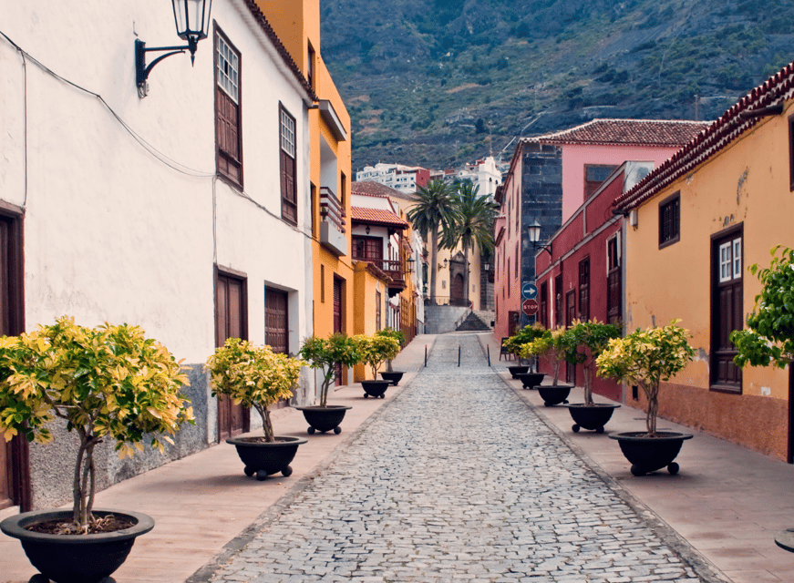 From Santa Cruz de Tenerife: Masca & Garachico Private Trip - Time, comfort, and the steep-road reality of a 6-hour private drive