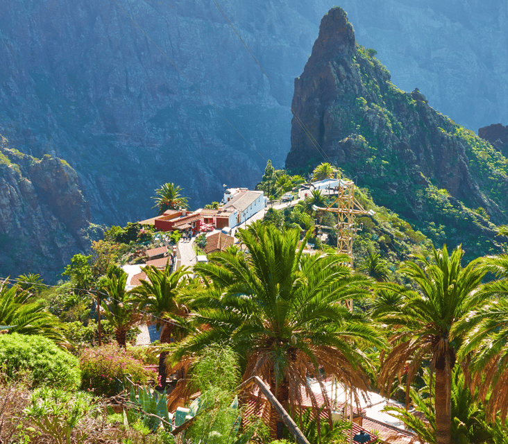 From Santa Cruz de Tenerife: Masca & Garachico Private Trip - Small but important planning tips