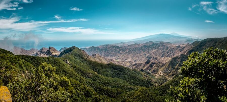 From Santa Cruz: Teide Volcano, Icod, & Garachico Tour - Icod de los Vinos and the Drago Milenario pause