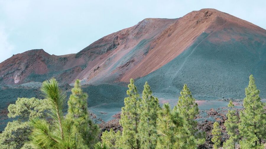 From Santa Cruz: Teide Volcano, Icod, & Garachico Tour - Who this Tenerife tour suits best