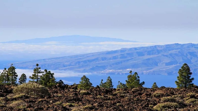 From South Tenerife: Half-Day Tour to Mount Teide - A half-day to Teide National Park that doesn’t eat your whole trip