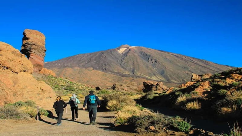 From South Tenerife: Half-Day Tour to Mount Teide - Vilaflor stop: a quick break with real altitude flavor