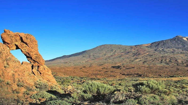 From South Tenerife: Half-Day Tour to Mount Teide - Los Roques de García: the base-zone perspective on El Teide