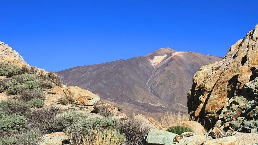 From South Tenerife: Half-Day Tour to Mount Teide - Cable car isn’t included, and that changes what you’ll experience