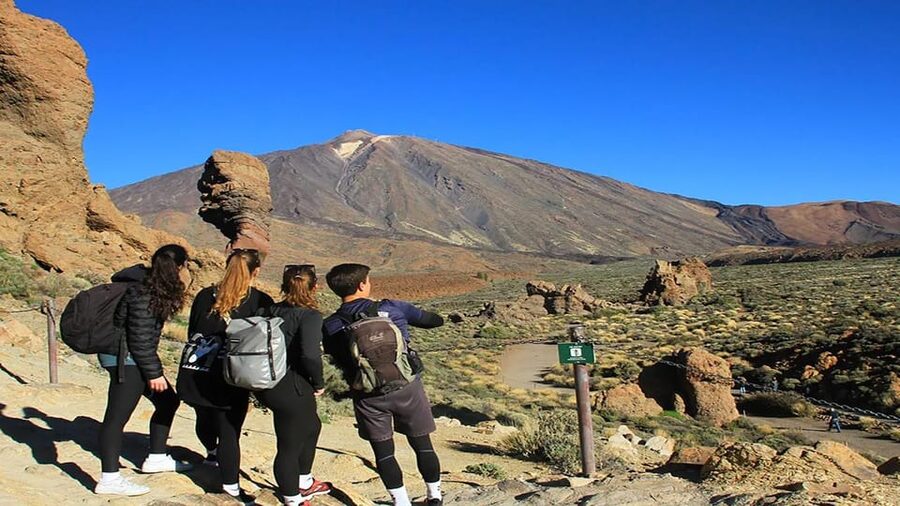 From South Tenerife: Half-Day Tour to Mount Teide - Pace and timing: 4–5 hours that still leave you time for Tenerife