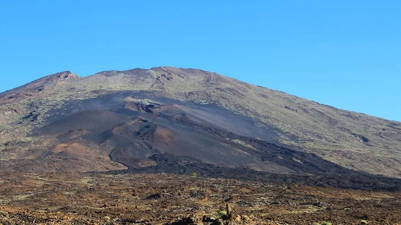 From South Tenerife: Half-Day Tour to Mount Teide - From South Tenerife up through pine forests and volcanic roads