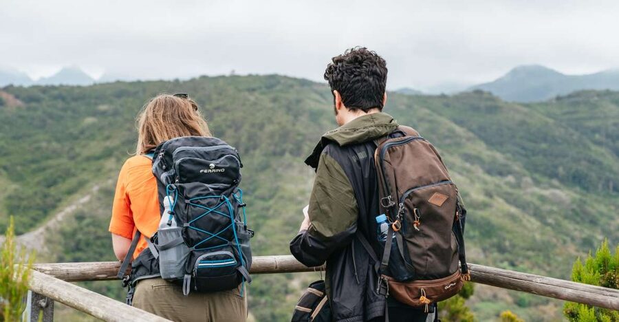 From South Tenerife: La Gomera Island Day Trip with Lunch - Why La Gomera Works as a 9-Hour Break From Tenerife