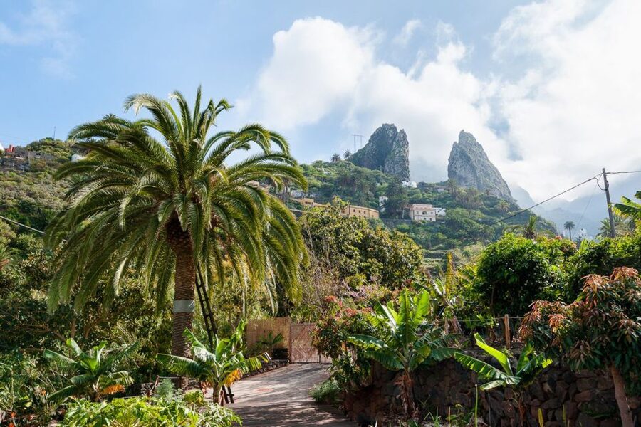 From South Tenerife: La Gomera Island Day Trip with Lunch - Should You Book This La Gomera Day Trip From South Tenerife?
