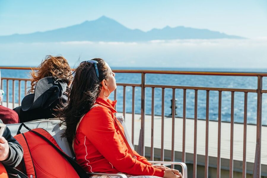 From South Tenerife: La Gomera Island Day Trip with Lunch - Lunch at the Top and Silbo Gomero: The Culture Moment That Lands
