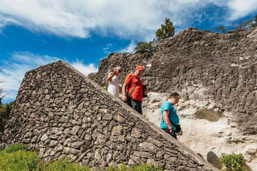 From South Tenerife: La Gomera Island Day Trip with Lunch - Who Should Book This La Gomera Day Trip