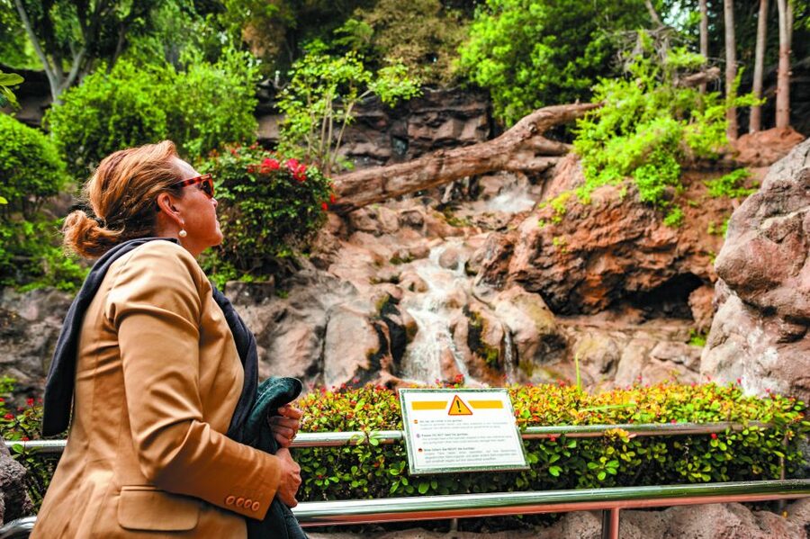 From South Tenerife: Loro Park Zoo Ticket & Hotel Transfers - Tips That Make This Day Trip Feel Effortless
