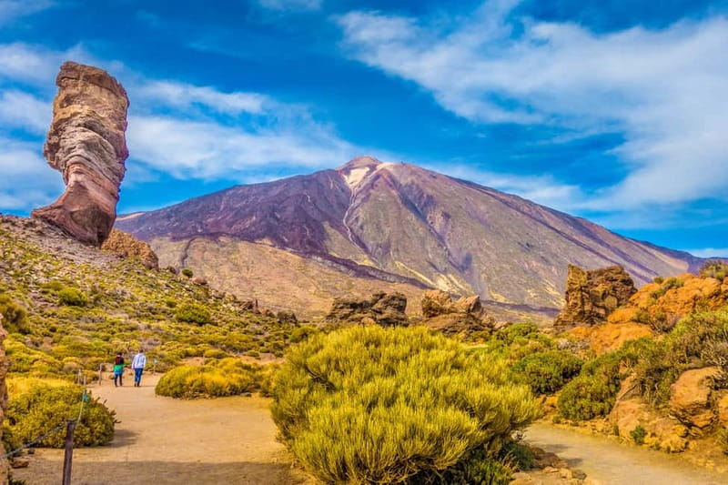 From South Tenerife: Mount Teide Hiking Day Trip & Cable Car - Key highlights to look for