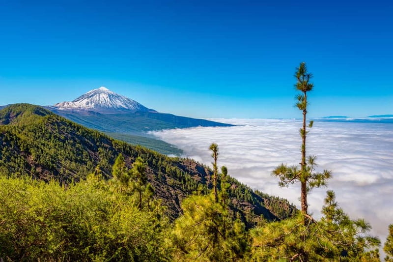 From South Tenerife: Mount Teide Hiking Day Trip & Cable Car - Teide National Park stops you’ll actually use