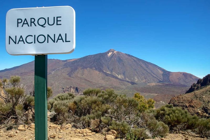 From South Tenerife: Mount Teide Hiking Day Trip & Cable Car - Price and value: what $169 really buys you