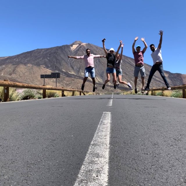 From South Tenerife: Teide National Park Tour - Key tour highlights at a glance