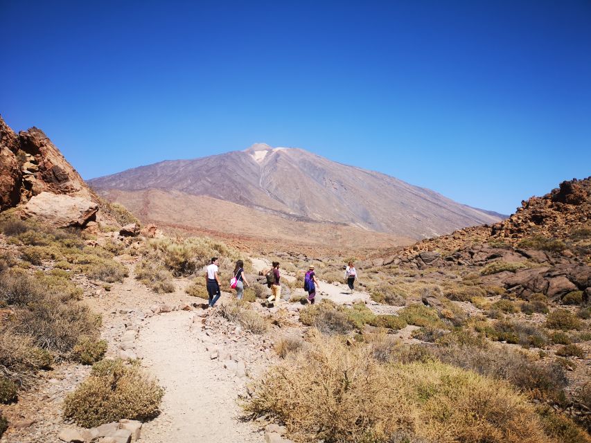 From South Tenerife: Teide National Park Tour - Teide from sea level to the edge of winter
