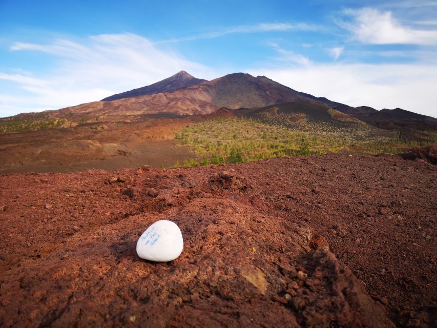 From South Tenerife: Teide National Park Tour - Price and value: what $77 gets you in real-world terms