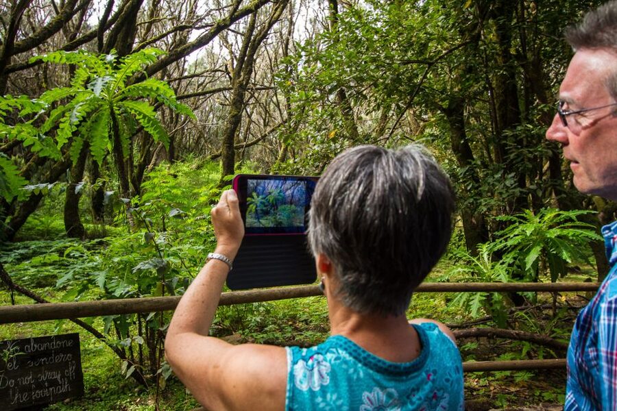 From South Tenerife: VIP Gomera Tour - What to bring so the day stays comfortable