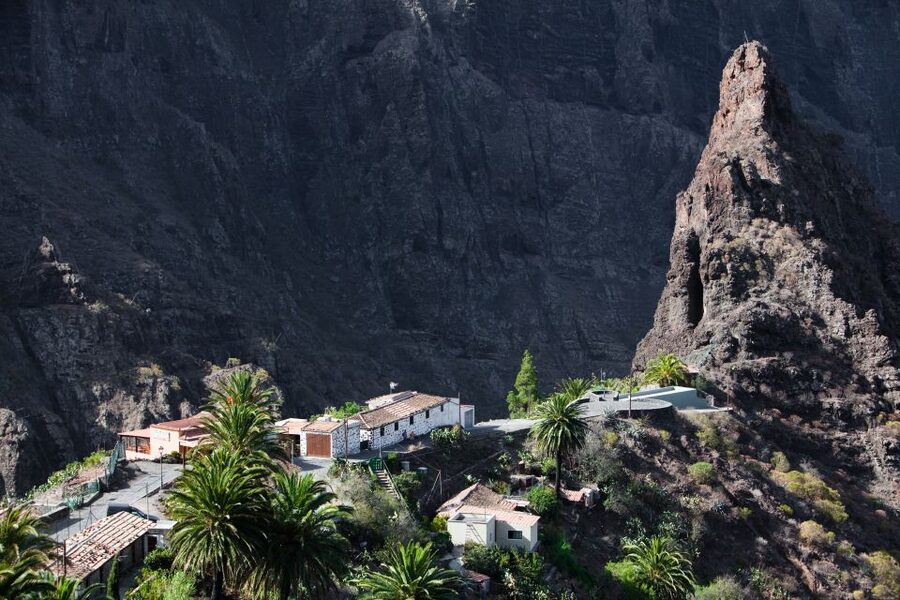 From South Tenerife: VIP Grand Tour Tenerife island - VIP minivan comfort from Playa de Las Américas