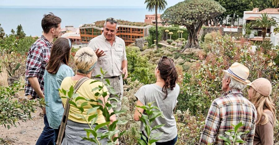From South Tenerife: VIP Grand Tour Tenerife island - Masca and hamlets: scenic driving with real character
