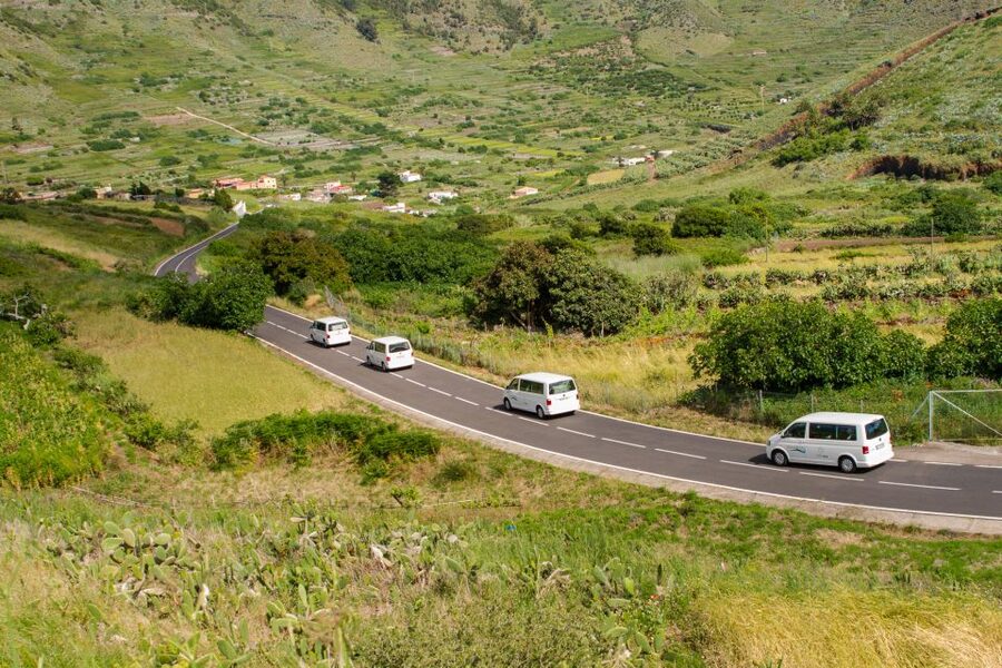 From South Tenerife: VIP Grand Tour Tenerife island - Meeting point at 08:20: beat the stress before it starts