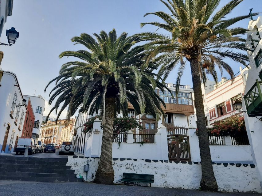 From Tenerife: Day Trip to La Palma Volcanic Landscapes - Key things I’d plan around