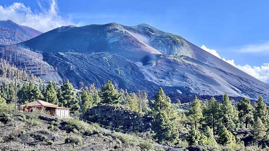 From Tenerife: Day Trip to La Palma Volcanic Landscapes - Small Downsides and Planning Tips That Can Save Your Day