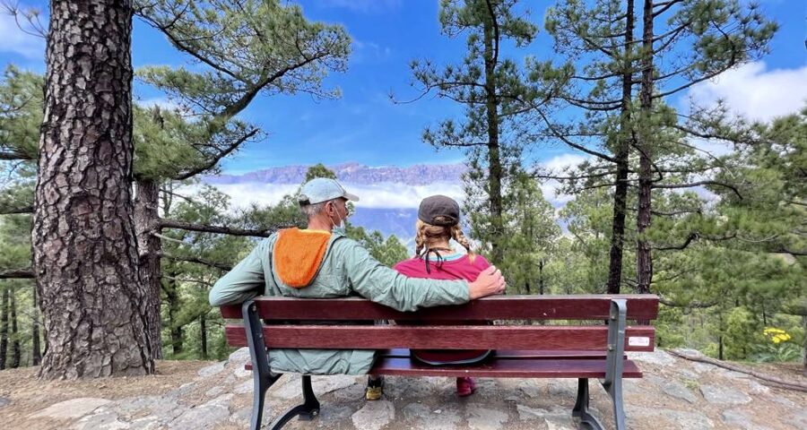 From Tenerife: Day Trip to La Palma Volcanic Landscapes - El Paso Free Time: Lunch Break With Local Pulse
