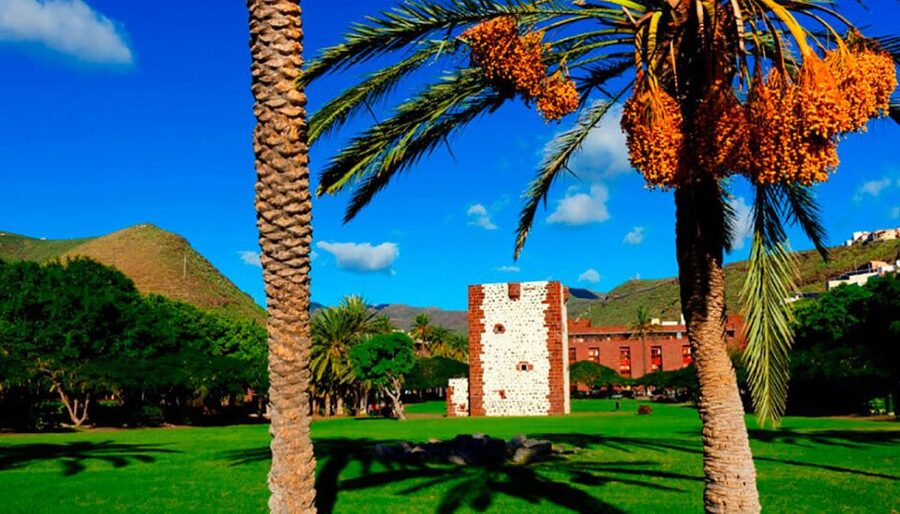 From Tenerife: La Gomera Day Trip with Guide - Viewpoints around La Gomera: volcanic ravines make every stop worth it