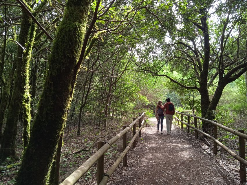 From Tenerife: La Gomera Day Trip with Guide - Price and value: why $112 can make sense for a one-day push