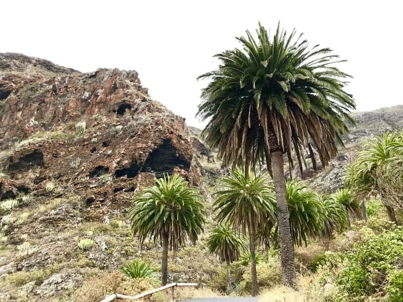 From Tenerife South: La Gomera Full-Day Trip with Transfers - Tenerife South to La Gomera by ferry: the pacing that makes it work