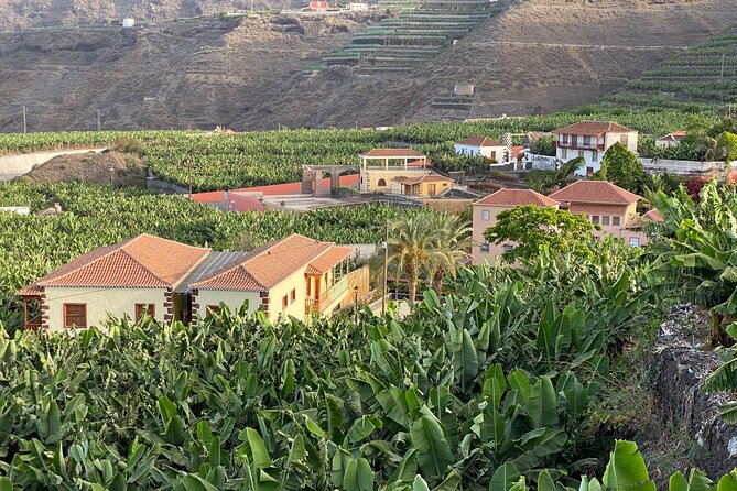From Tenerife: Tajogaite Volcano, La Cumbrecita and Casco Antiguo - Riding back: ferry at 5:00 pm and finishing where you started
