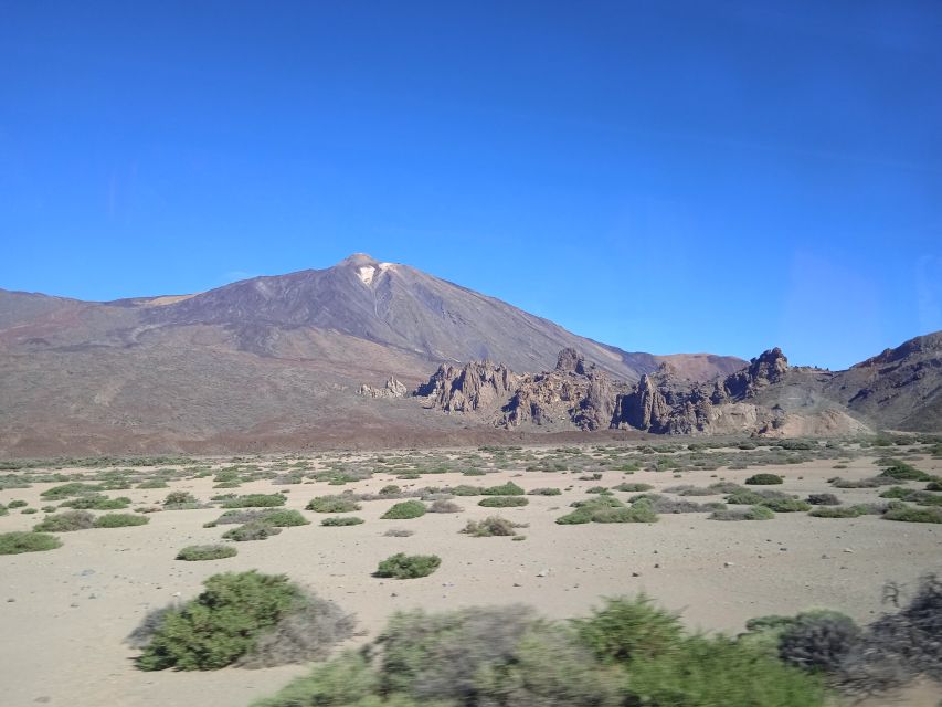 From Tenerife: Teide National Park Guided Day Trip by Bus - South Tenerife to Teide National Park: what 5.5 hours is really like