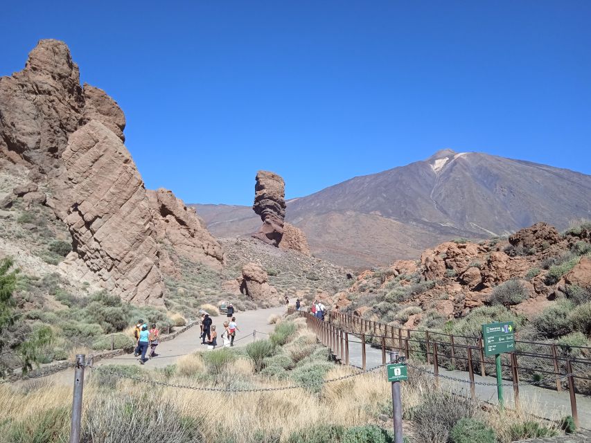 From Tenerife: Teide National Park Guided Day Trip by Bus - Hotel pickup and finding the bus labeled La Excursion