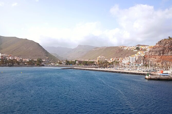 Full-day Bus Tour to La Gomera Island with Professional Guide - Price and Seat Costs: Is $103.92 Good Value?
