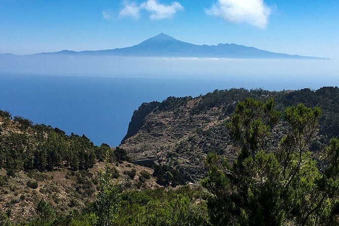 Full day excursion to La Gomera - Garajonay National Park and Laguna Grande: laurel forest, cool air, and myth at the edge