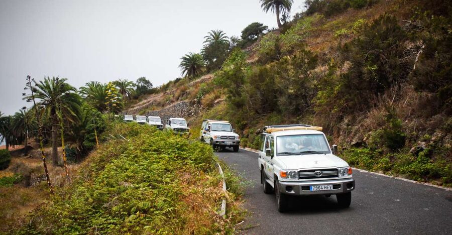 Full-Day Gomera Jeep Safari Excursion from Arona - Key highlights to look for