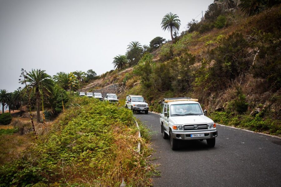 Full-Day Gomera Jeep Safari Excursion from Arona - Why a La Gomera Jeep Day Beats a Bus Ride