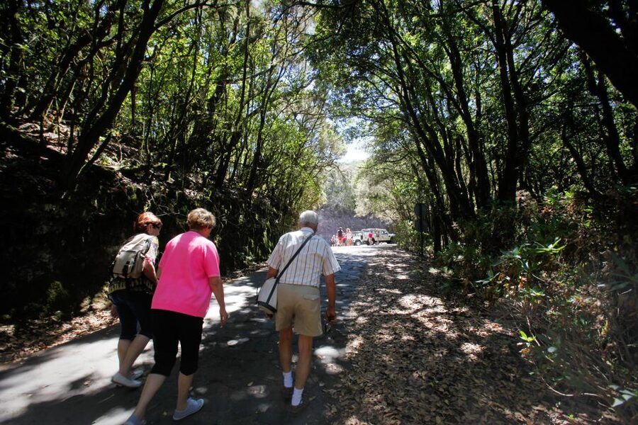 Full-Day Gomera Jeep Safari Excursion from Arona - The Whistled Language Demonstration: Culture You Can Hear