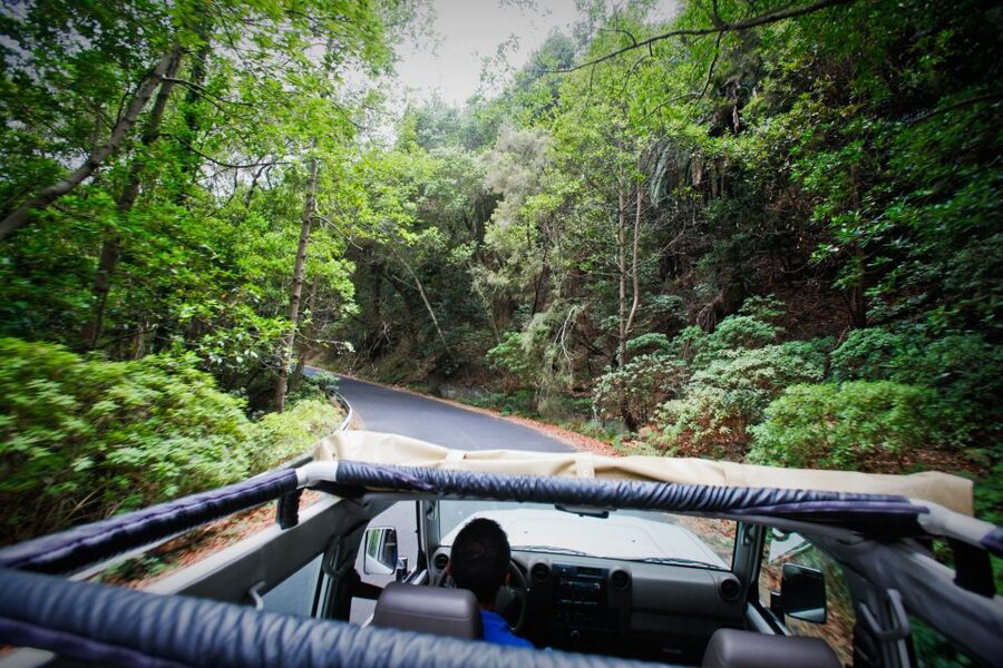 Full-Day Gomera Jeep Safari Excursion from Arona - Live Guides Make the Difference: Frankie, Terry, Bruno, and More