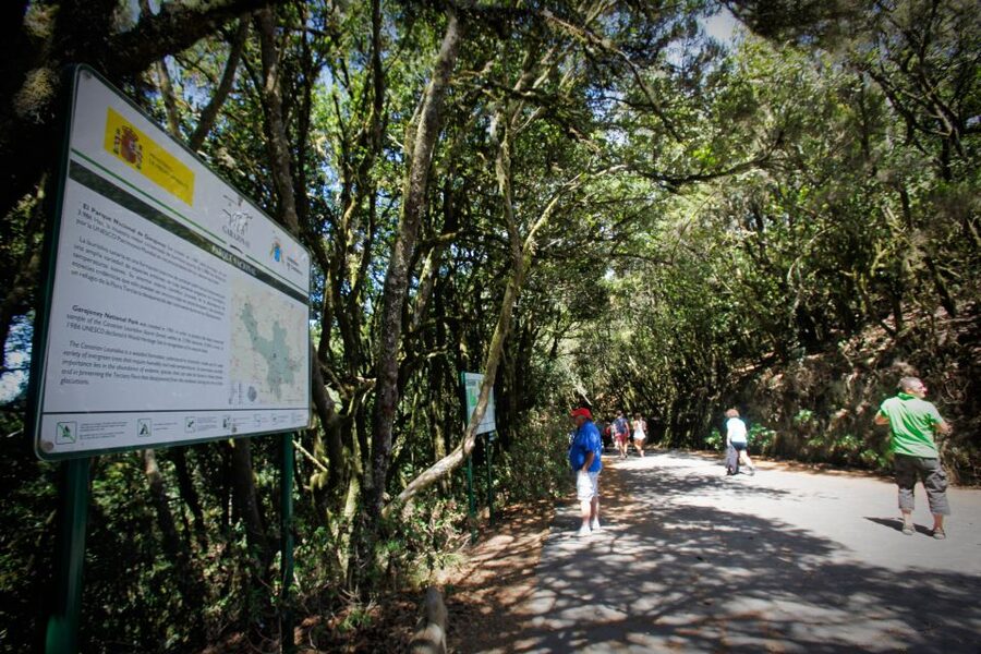 Full-Day Gomera Jeep Safari Excursion from Arona - Getting From Tenerife: Ferry Time and Your First Checkpoint