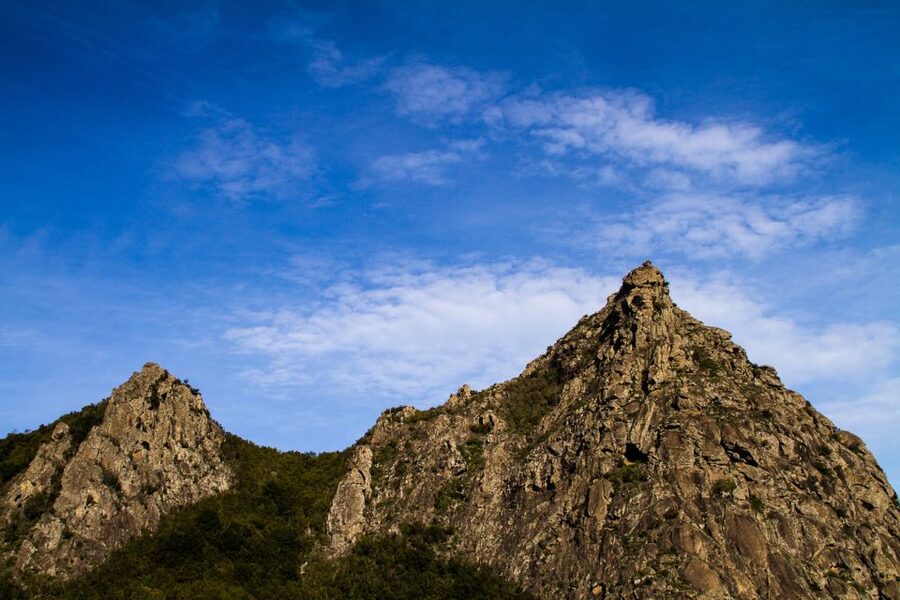 Full-Day Gomera Jeep Safari from Puerto de La Cruz - Garajonay National Park: why this stop anchors the whole day