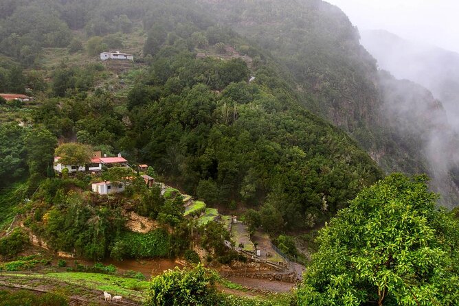 Full Day Guided Tour to La Gomera from Tenerife - Why La Gomera Works So Well as a Full-Day Trip