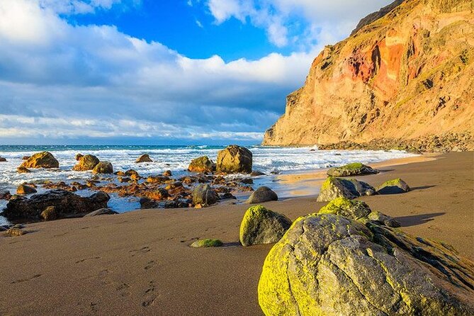 Full Day Guided Tour to La Gomera from Tenerife - Garajonay National Park: The UNESCO Laurel Forest Walk