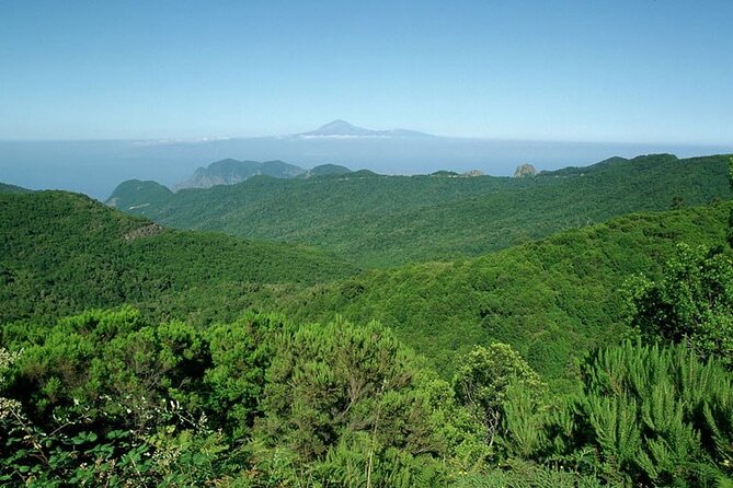 Full Day Guided Tour to La Gomera from Tenerife - The Bus Time Reality: Photo Stops Add Up
