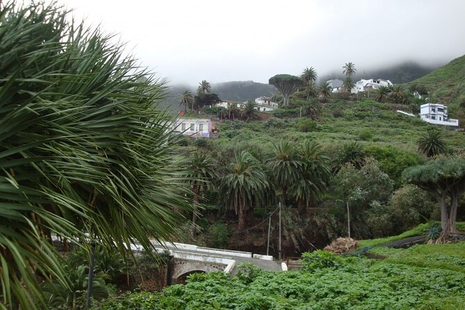 Full Day Tour of Santa Cruz and San Cristóbal de La Laguna - Key things to know before you go